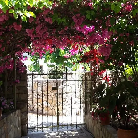 Kiki Paxos Ozias Ferienhaus Gaios