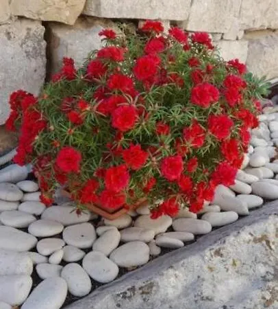 Kiki Paxos Ozias Holiday home