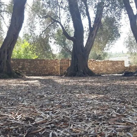 Kiki Paxos Ozias Ferienhaus *