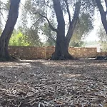 Kiki Paxos Ozias Σπίτι διακοπών *