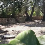 Kiki Paxos Ozias *