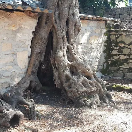 Kiki Paxos Ozias *