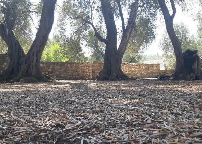 Kiki Paxos Ozias Σπίτι διακοπών *
